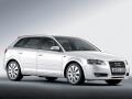 AUDI A3 Sportback (8PA) 